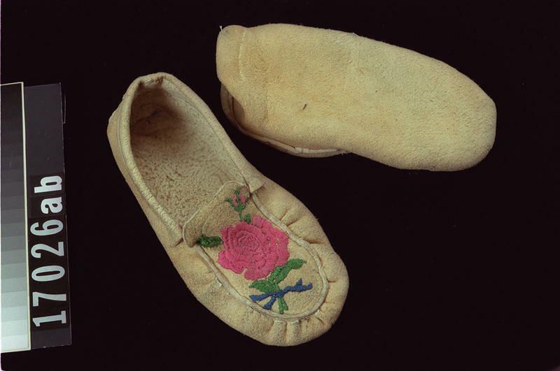 Image representing Moccasin.