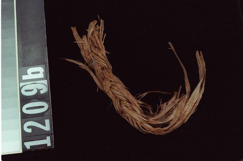 Image representing Prepared Material.