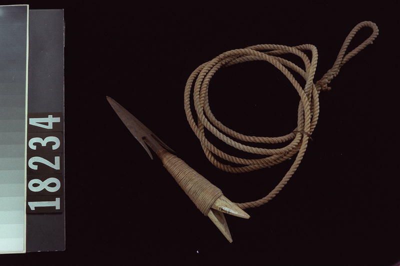 Image representing Head.