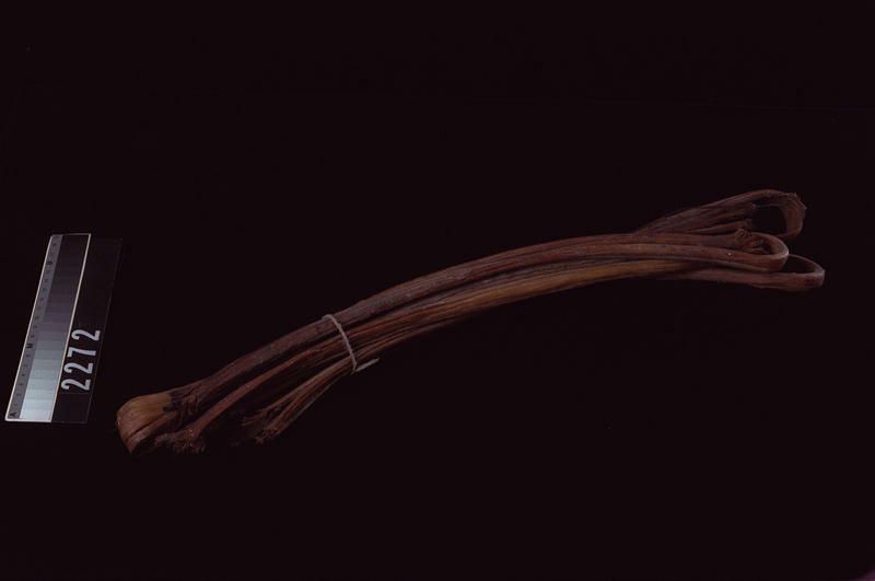 Image representing Raw Material.