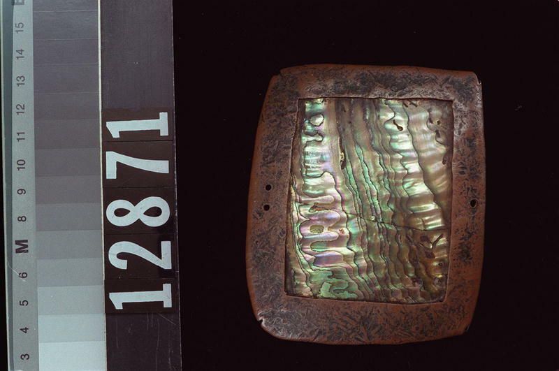 Image representing Abalone.