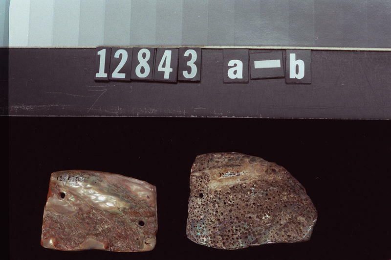 Image representing Ornament.