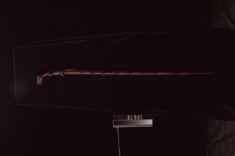 Image representing Cane.