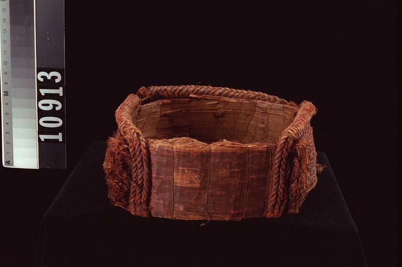 Image representing Ring.