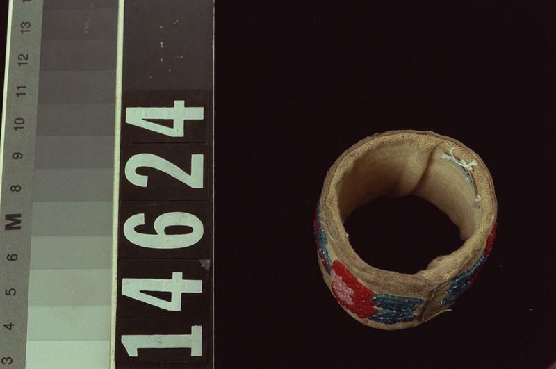 Image representing Ring.