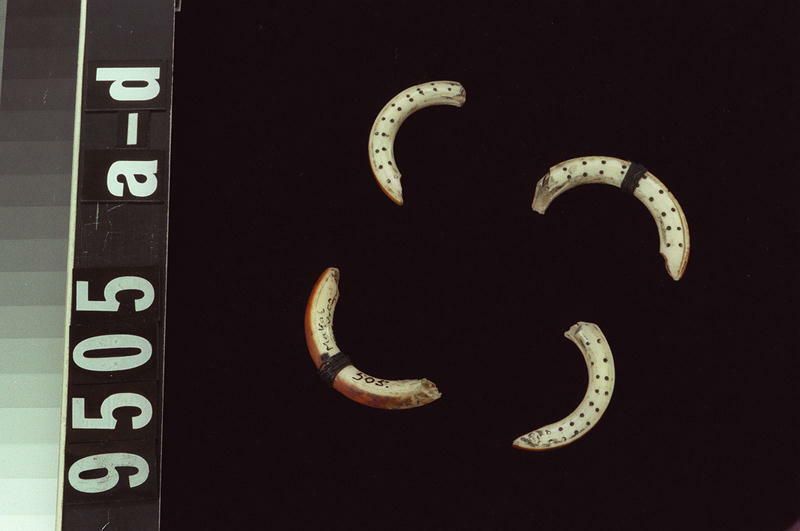 Image representing Game Piece.