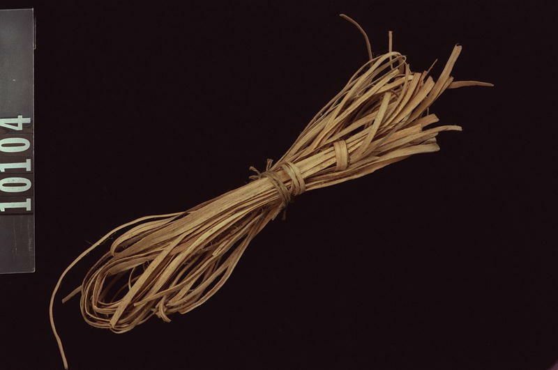 Image representing Prepared Material.