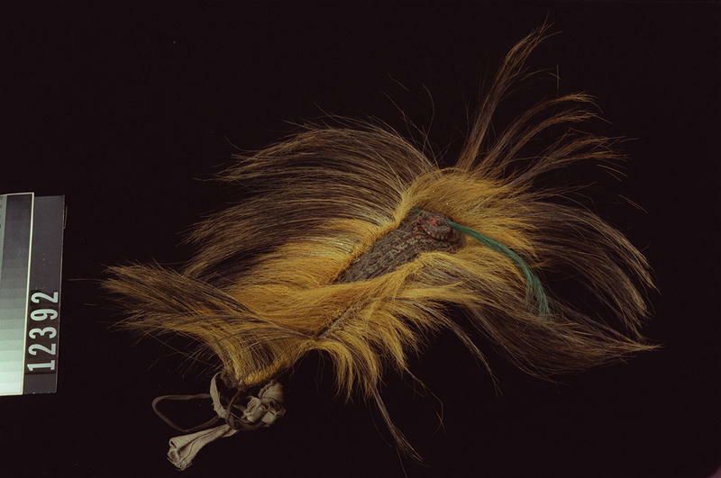 Image representing Roach.