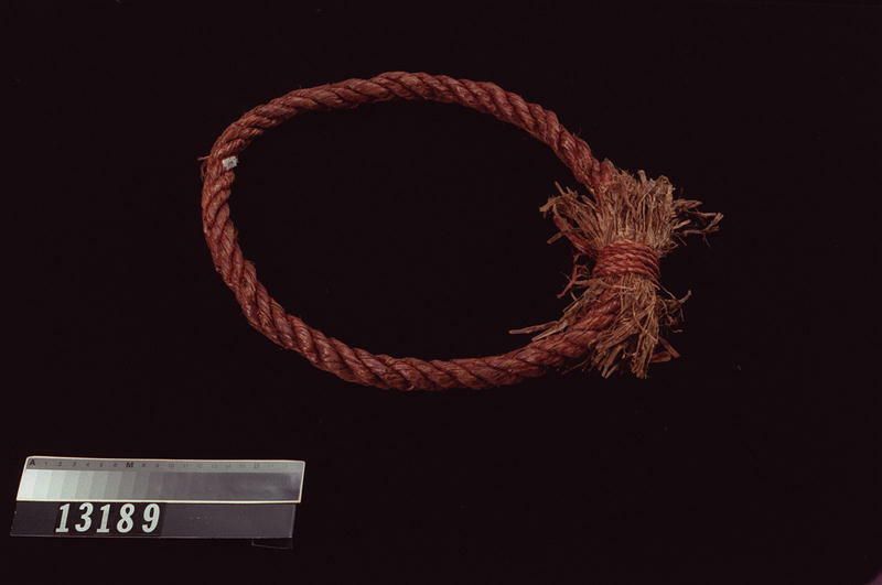 Image representing Ring.