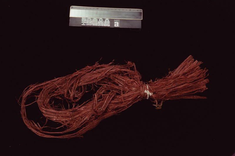 Image representing Band.
