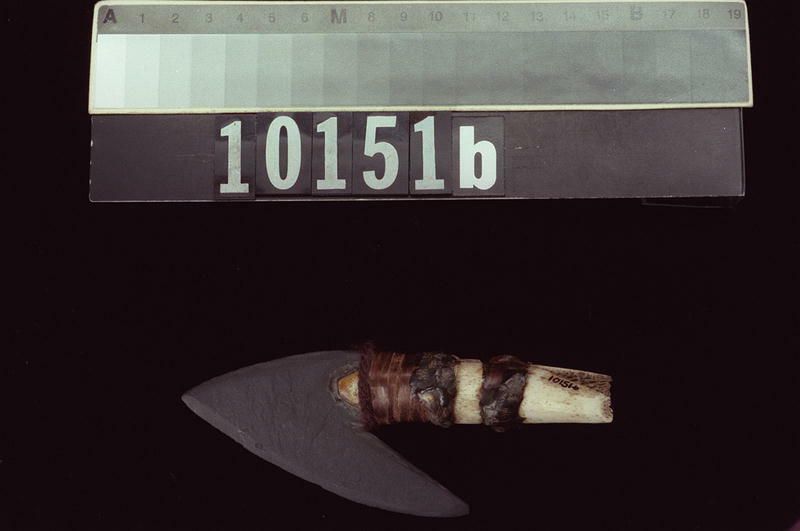Image representing Harpoon Head.
