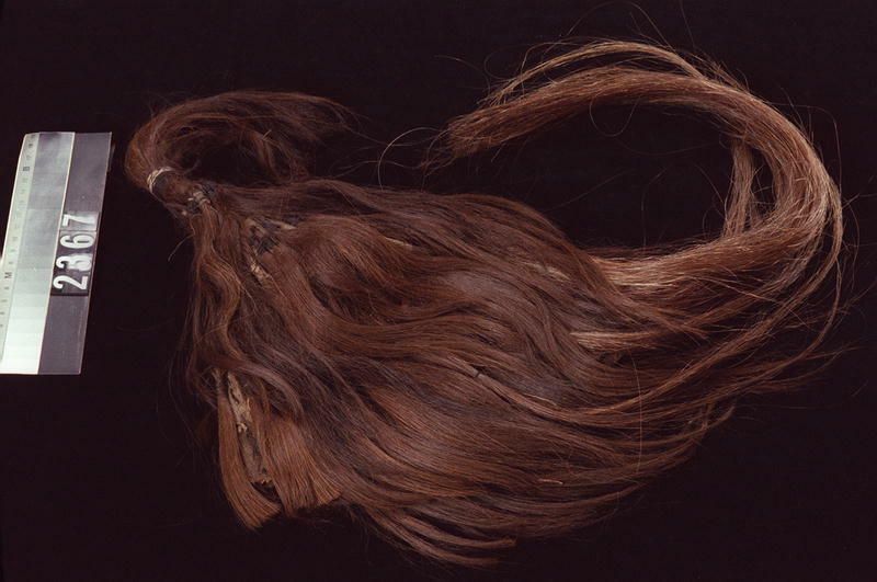 Image representing Wig.