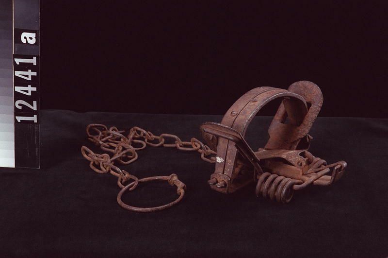 Image representing Trap.