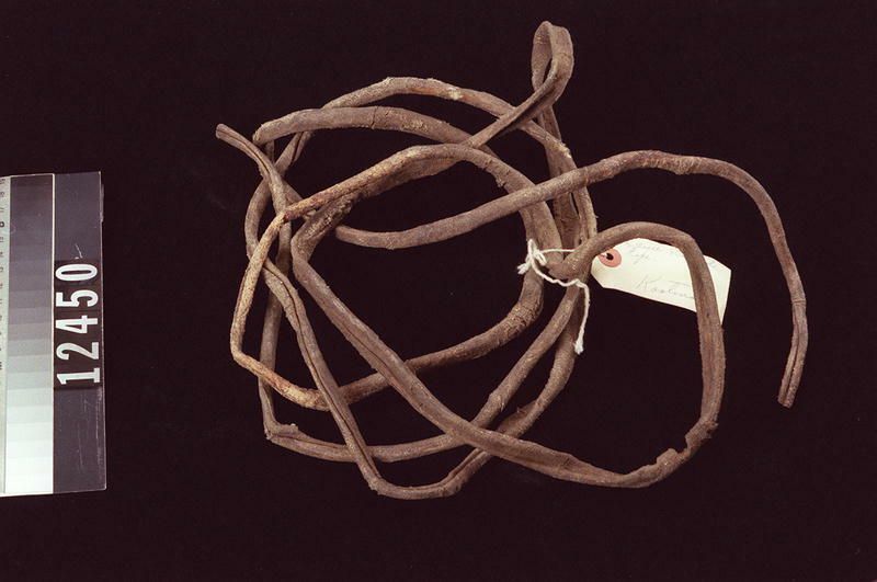 Image representing Rope.