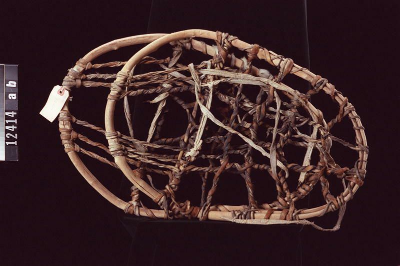 Image representing Snowshoe.