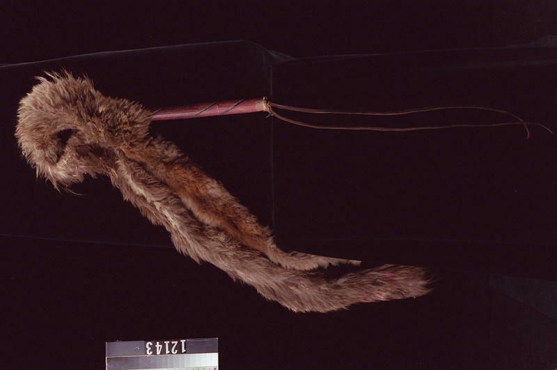 Image representing Whip.