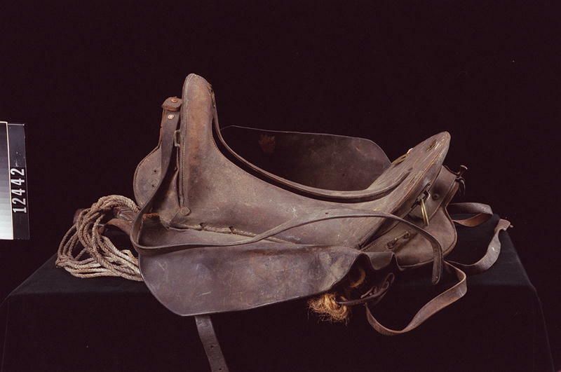 Image representing Saddle.