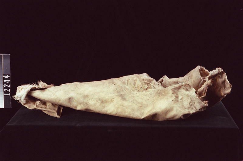 Image representing Hide.