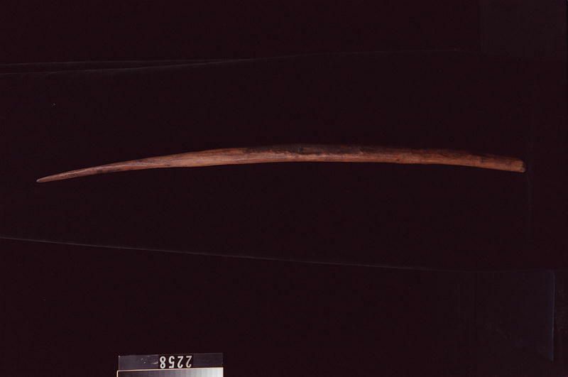 Image representing Stripper.