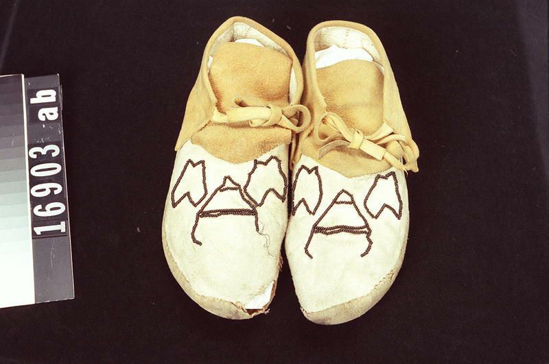 Image representing Moccasin.