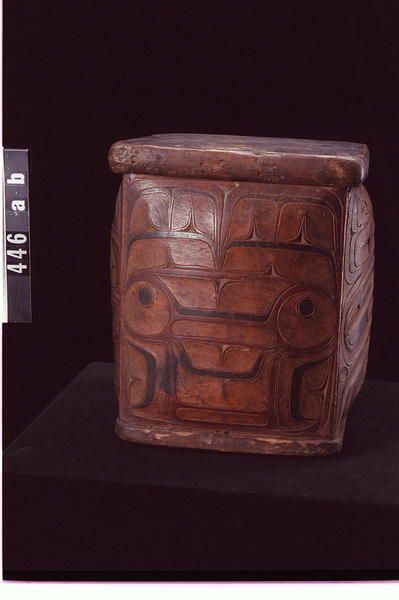 Image representing Chest.