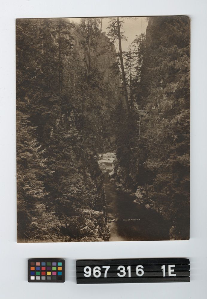 Image representing Print, Photographic.