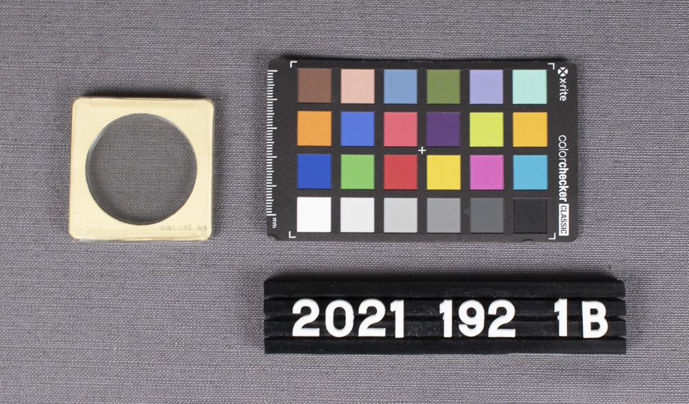 Image représentant Coin, Replica Gold