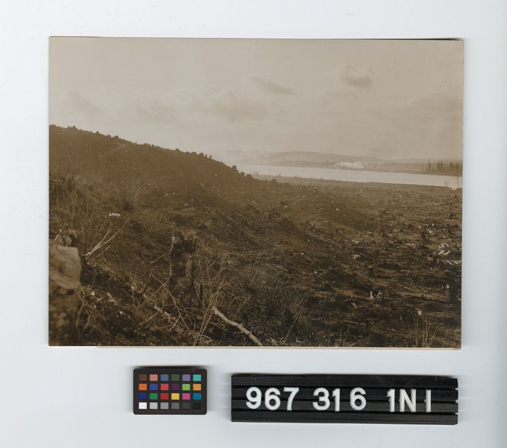 Image representing Print, Photographic.