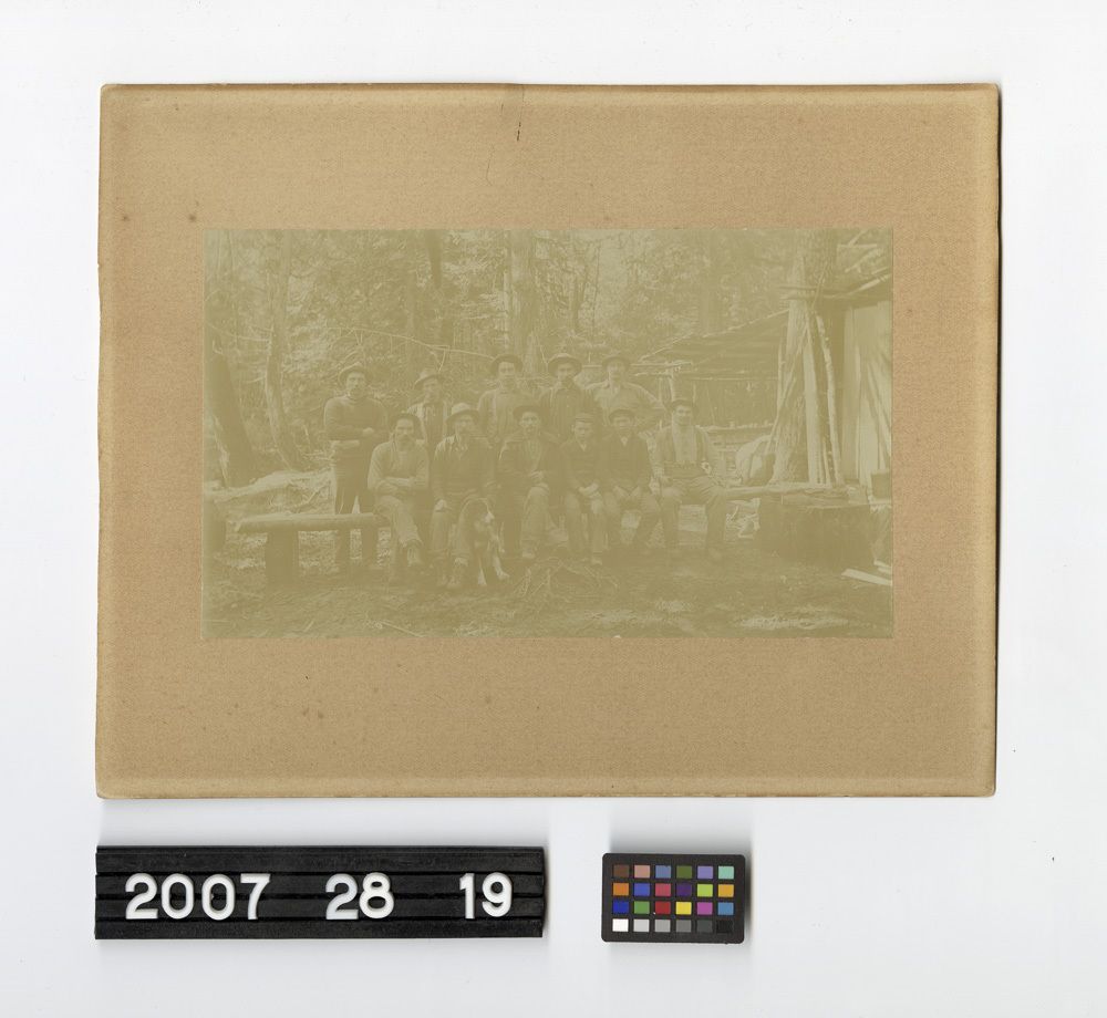 Image representing Print, Photographic.