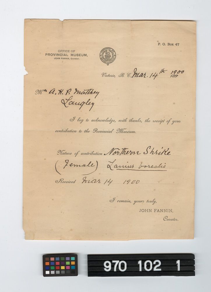 Image représentant receipt