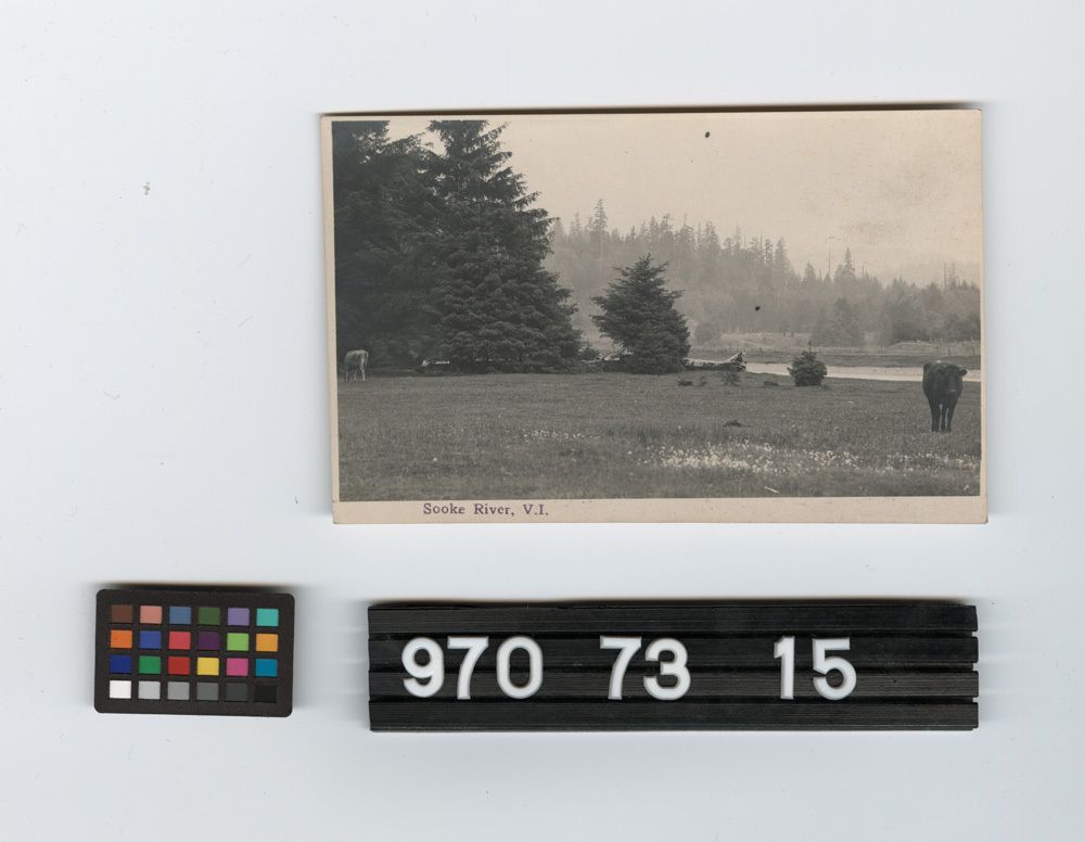 Image representing Postcard.