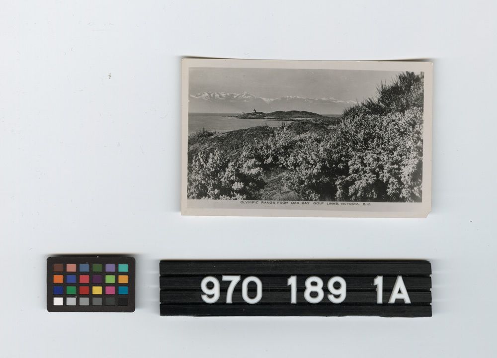 Image representing Print, Photographic.