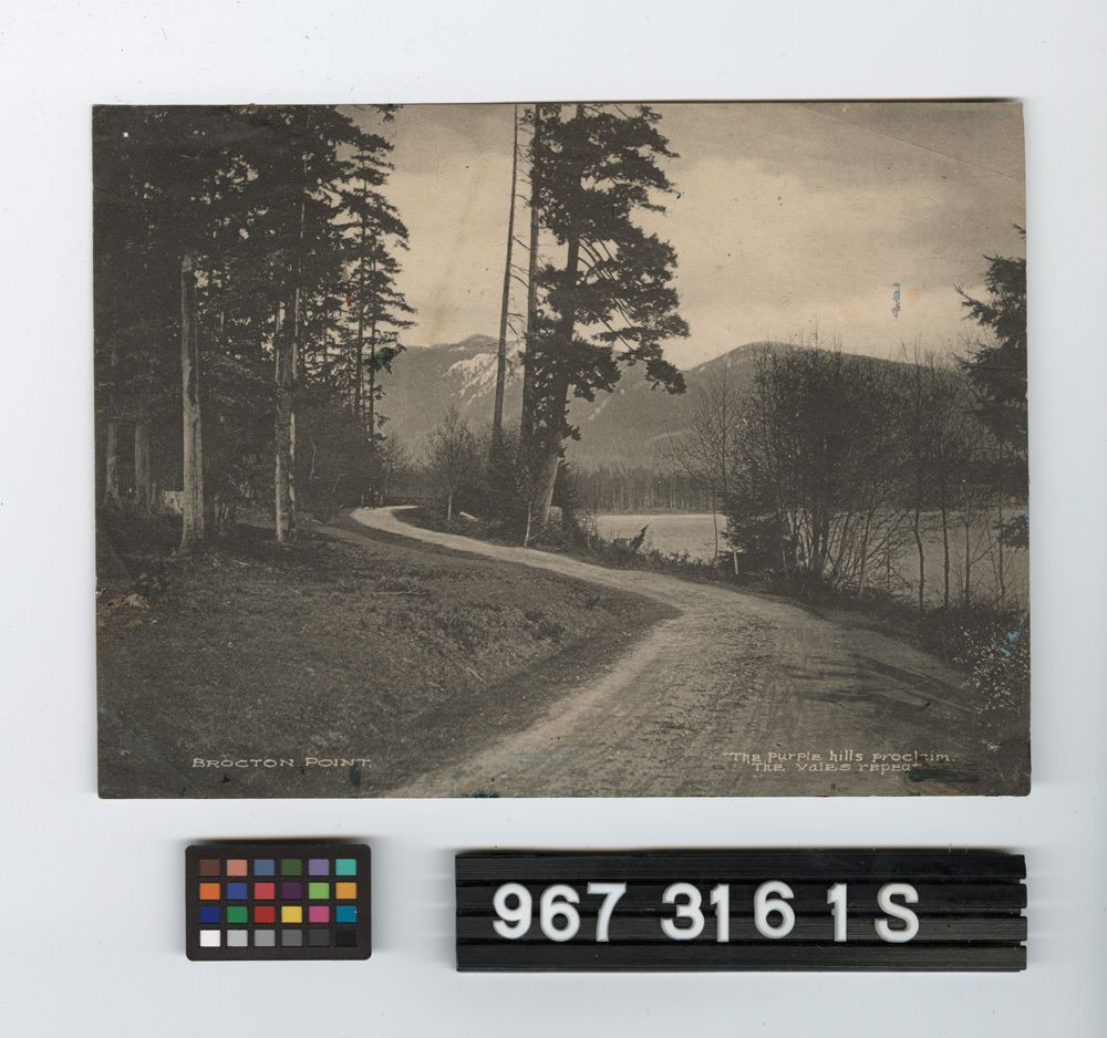 Image representing Print, Photographic.