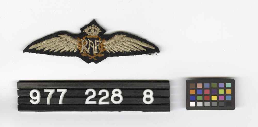 Image representing Wing, Pilot's.