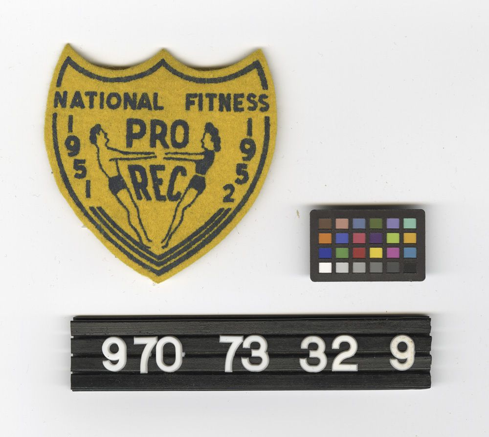 Image representing Badge, Insignia.