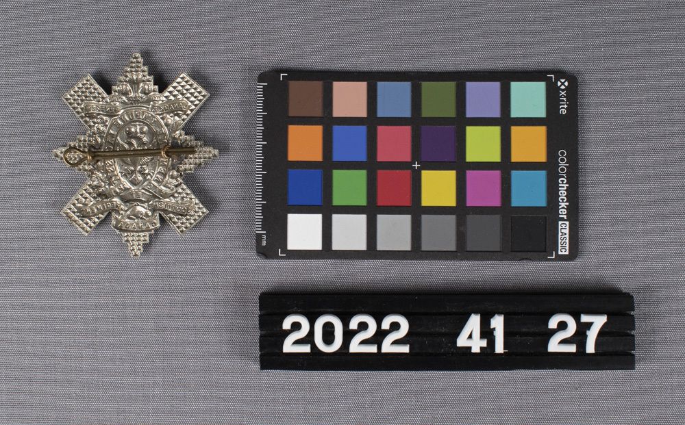 Image representing Badge, Cap.