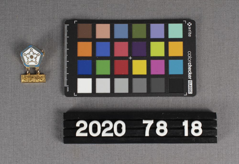 Image representing Pin, Lapel.