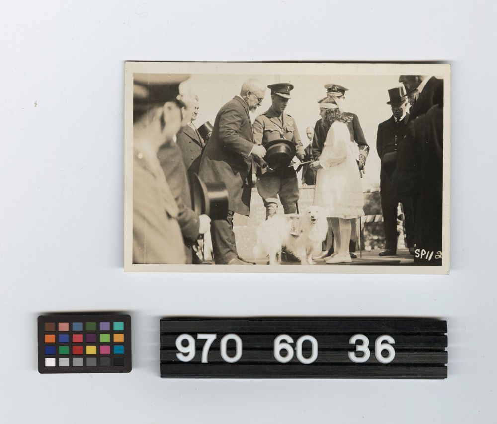 Image representing Print, Photographic.