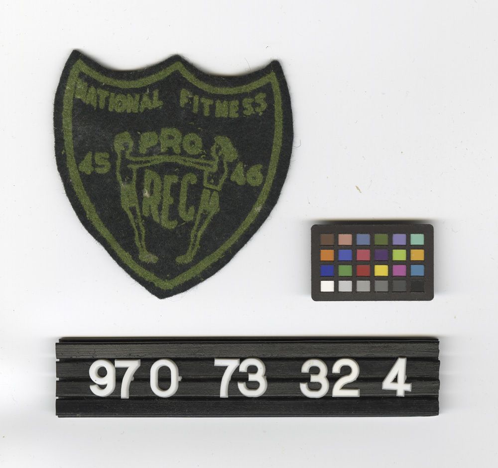 Image representing Badge, Insignia.