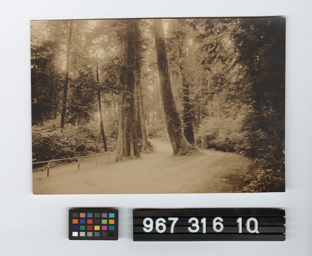 Image representing Print, Photographic.