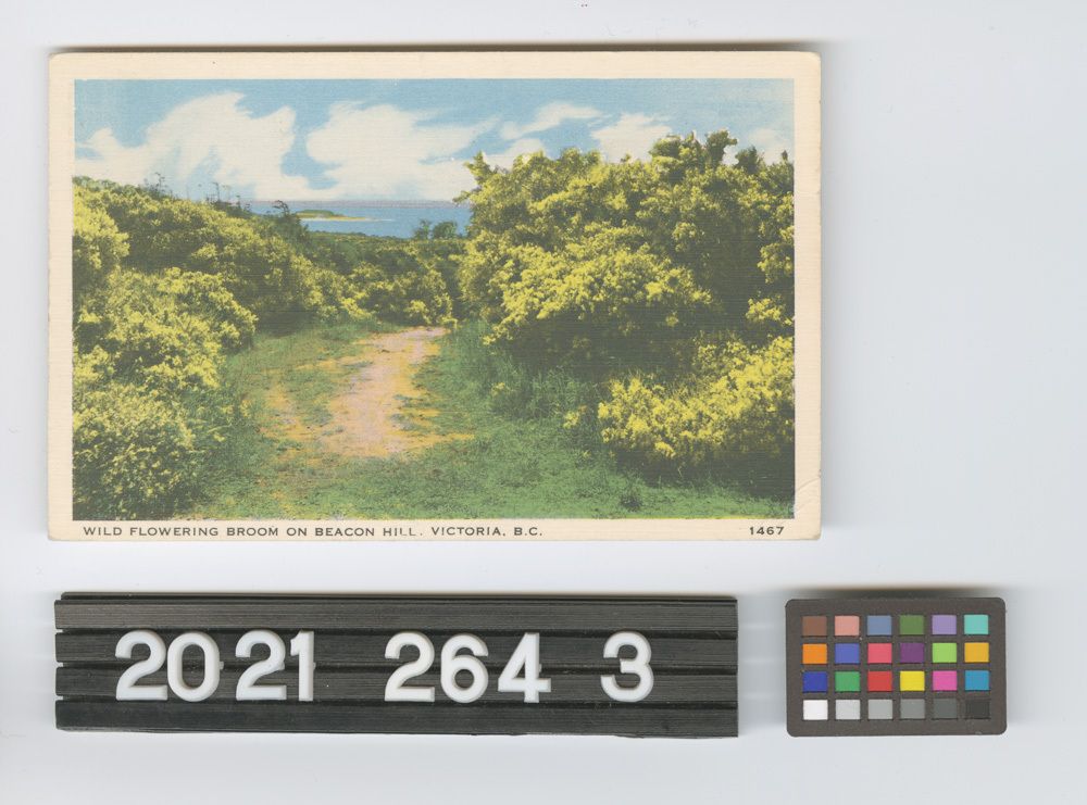 Image représentant Postcard