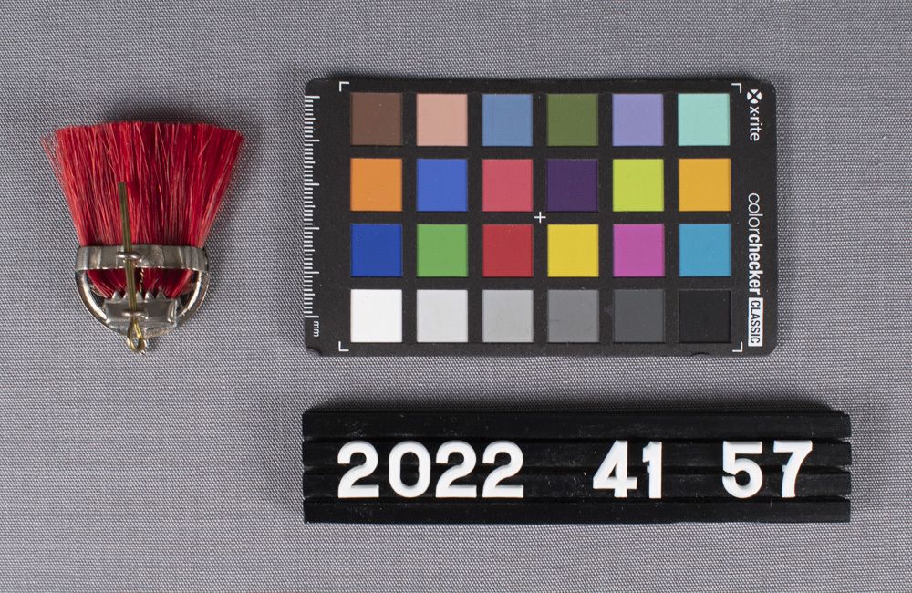 Image representing Badge, Cap.