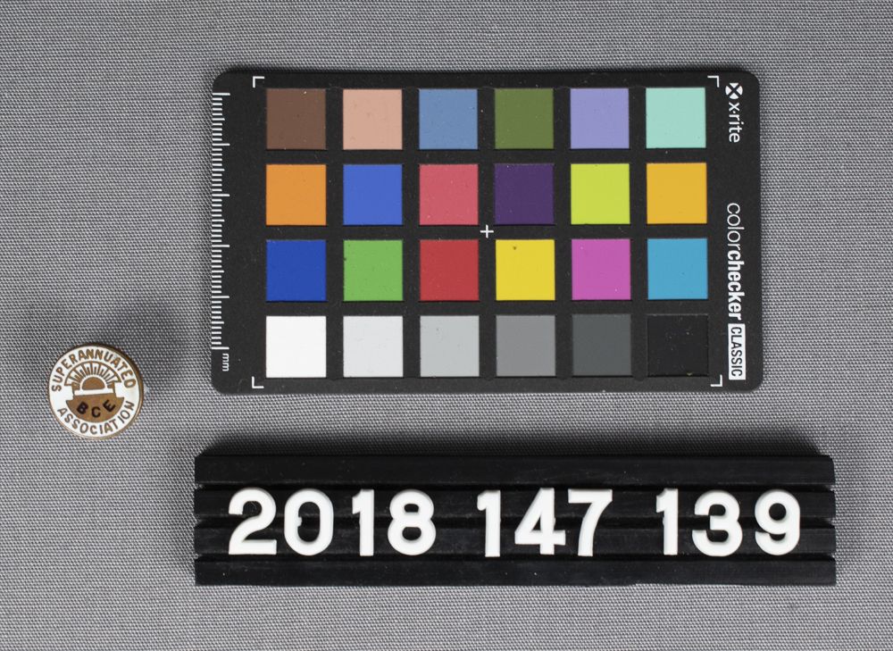 Image representing Lapel Pin.