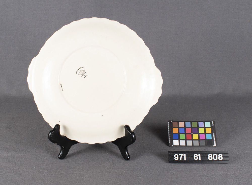 Image representing Plate, Souvenir.