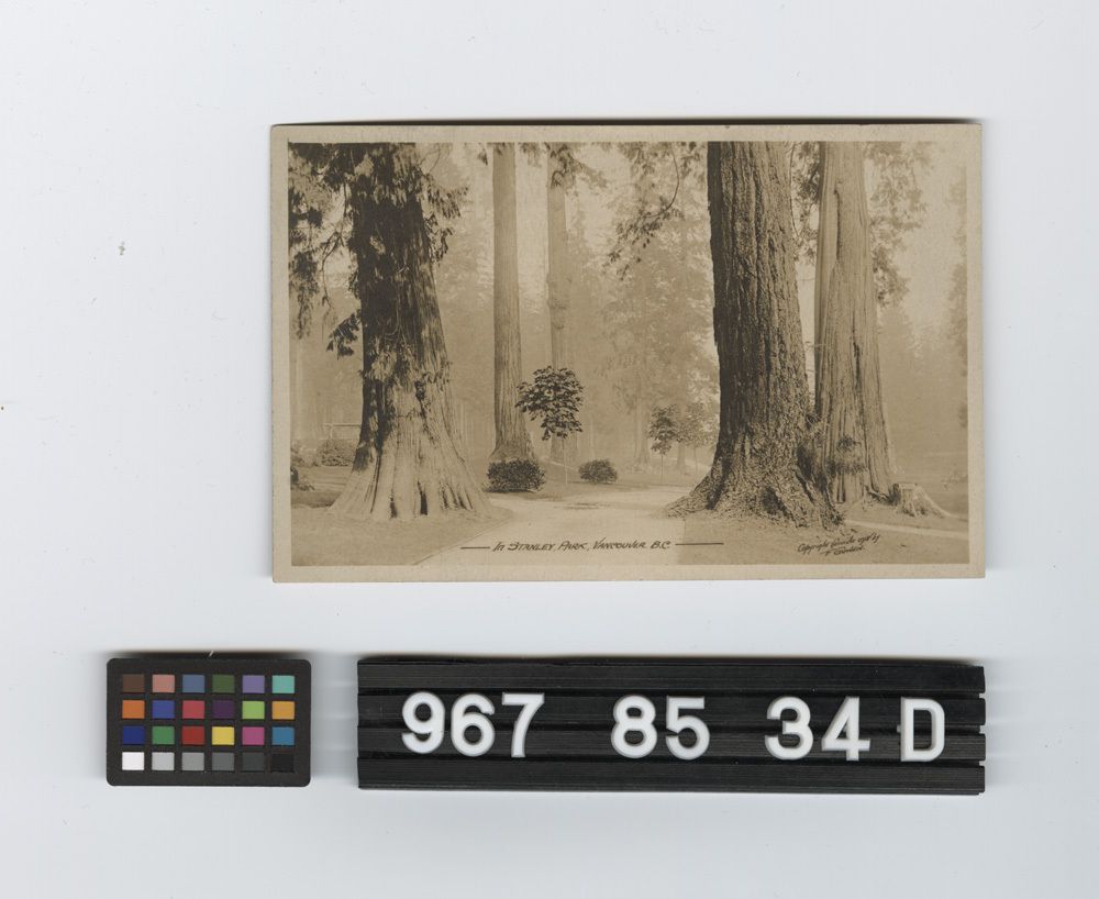 Image représentant Postcard