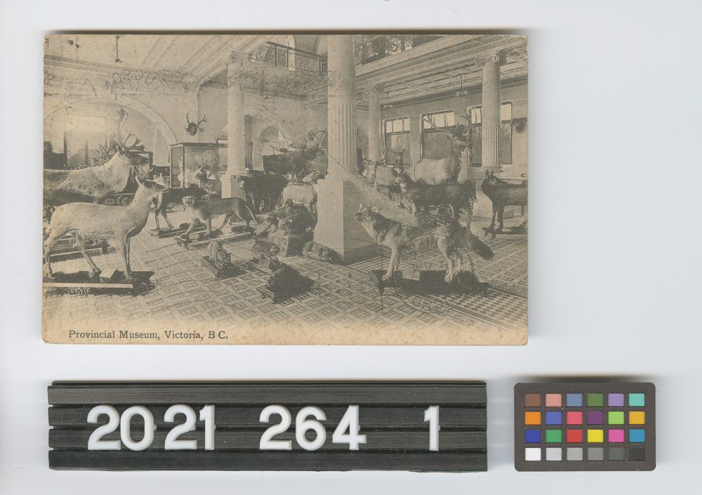 Image représentant Postcard