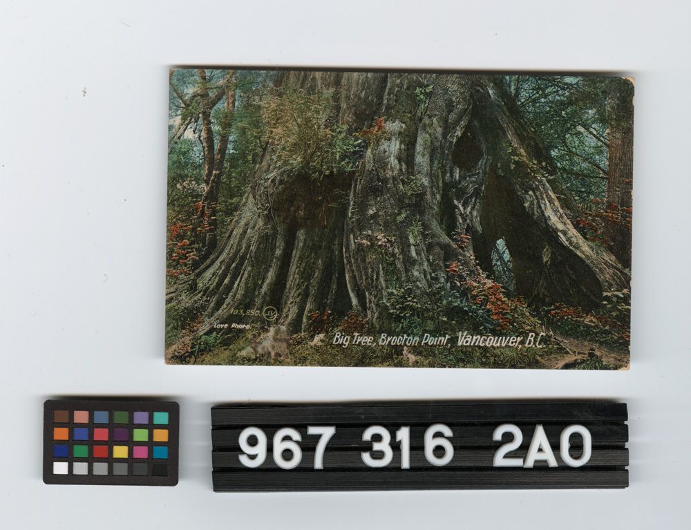 Image representing Postcard.