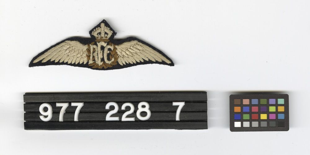 Image representing Wing, Pilot's.