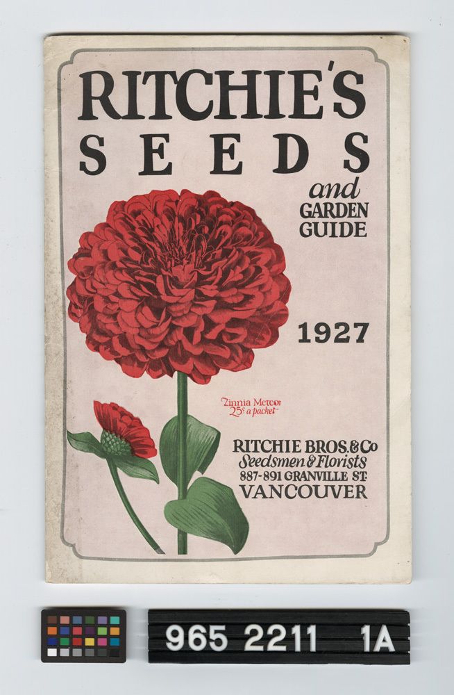 Image representing Catalogue, Seed.