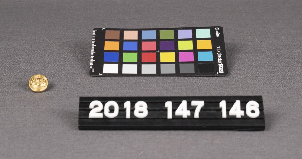 Image representing Button, Insignia.